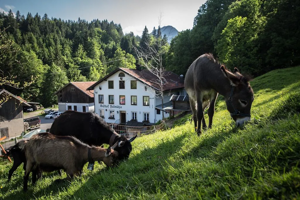 Gasthof Fallmuehle Pfronten
