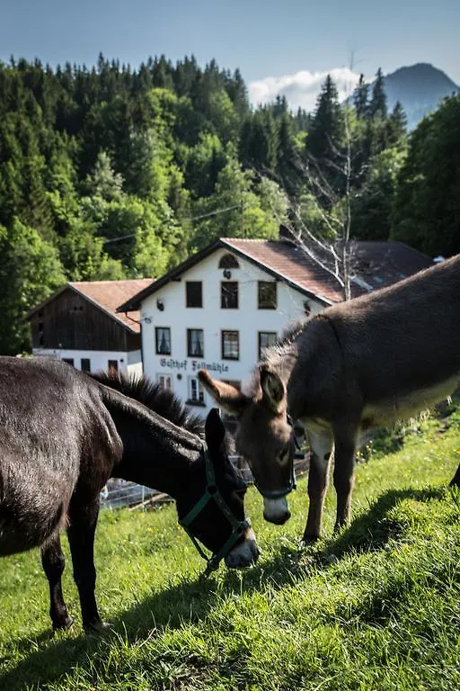 ** Inn Gasthof Fallmuehle Pfronten Germany