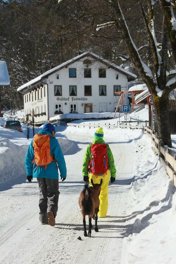 Gasthof Fallmuehle Pfronten Inn